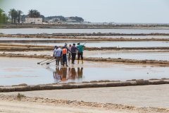 03-Workers on the saline